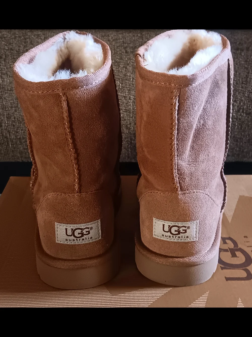 UGG Women's Classic Short Boot in Chestnut Suede